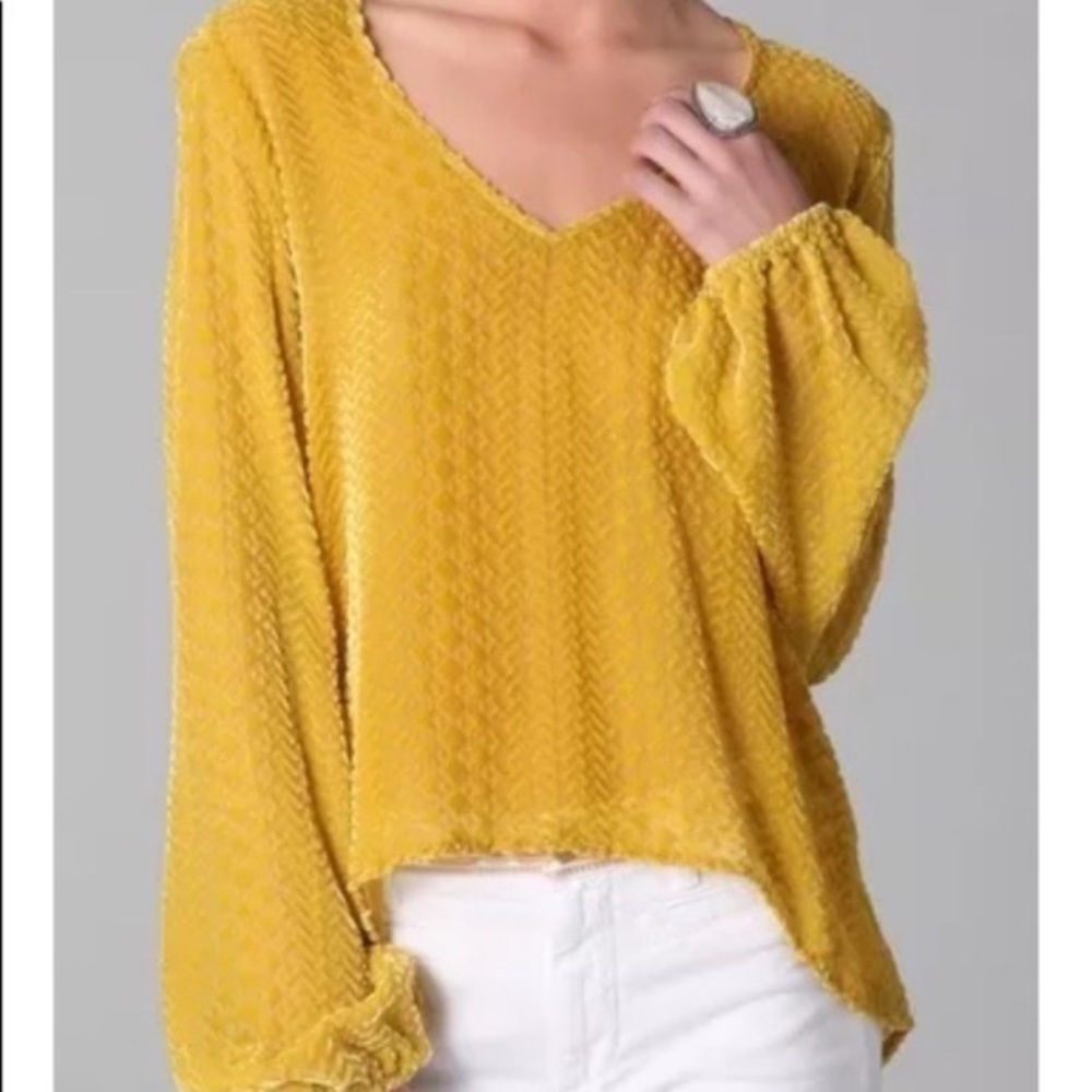 Planet Blue Blu Moon Velvet Burnout Bellsleeve Top